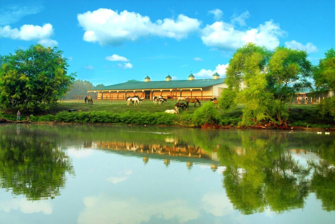 Southern Cross Guest Ranch マディソン エクステリア 写真